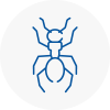 Ant Removals In Middlesbrough
