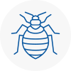 Bed Bug Extermination In Middlesbrough