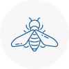 Bee Nest Removal Middlesbrough