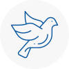 Bird Prevention Middlesbrough