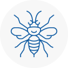 Middlesbrough Hornet Nest Removals