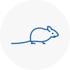 Mice Exterminators In Middlesbrough