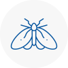 Moth Control Specialists In Middlesbrough