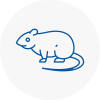 Rat Control Middlesbrough
