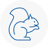 Middlesbrough Rodent Removals